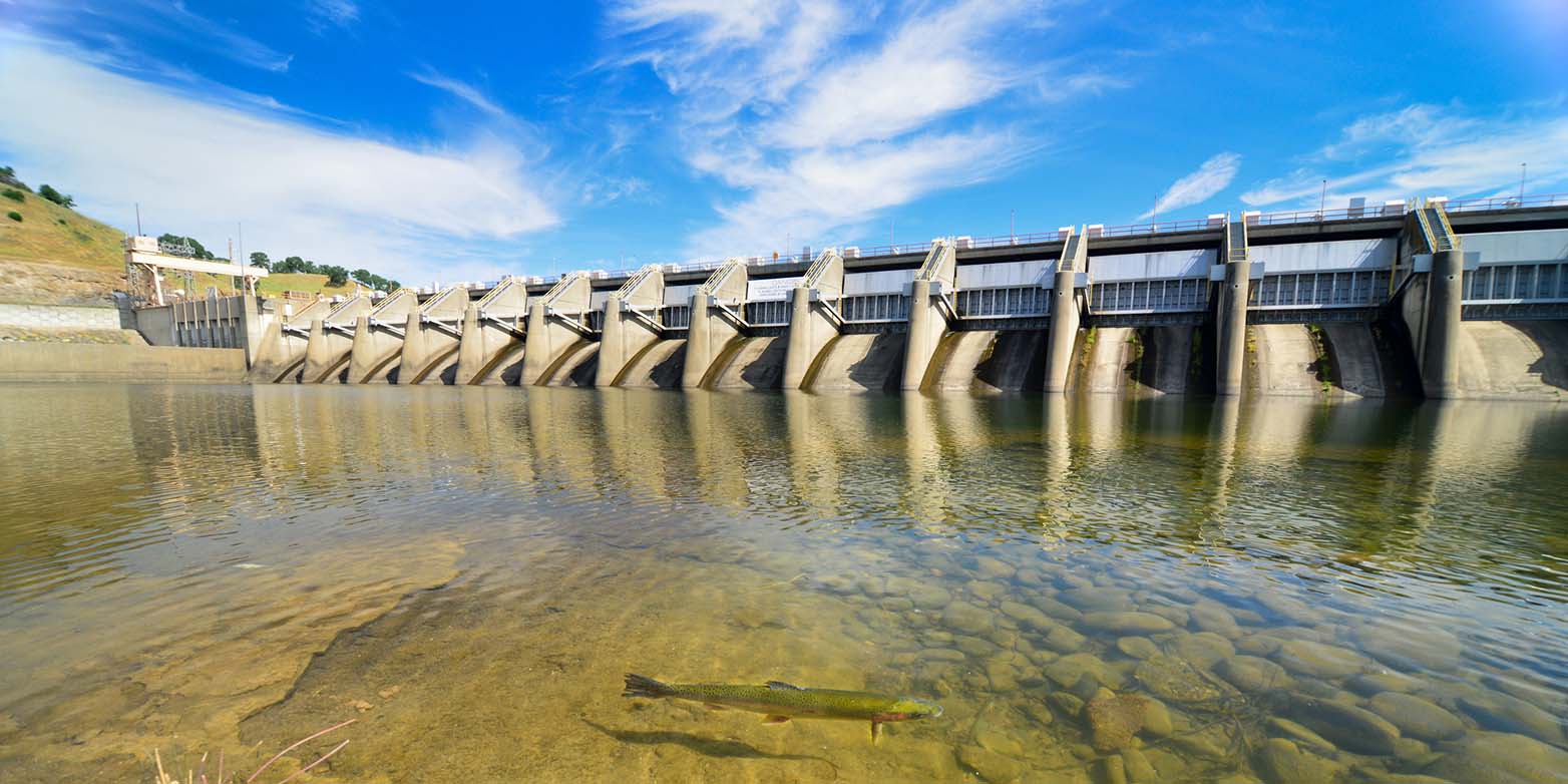Hydropower plant and a fish in the water