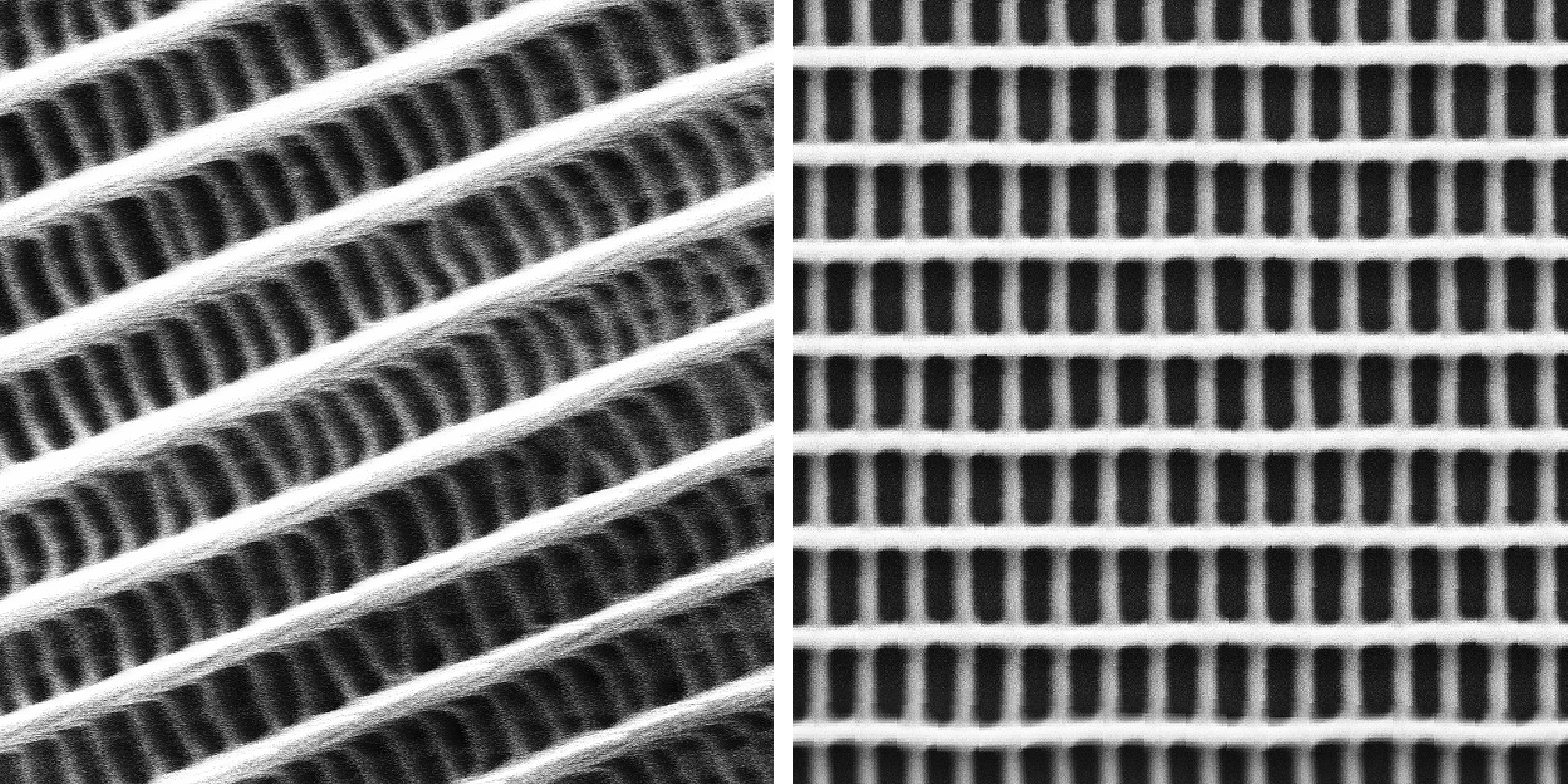 Two-layer grid under the electron microscope