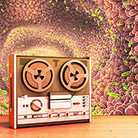 Tape recorder and gut bacteria