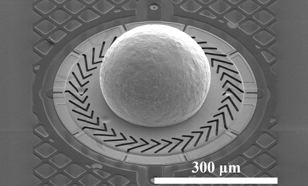 Electron microscope image of a sensor
