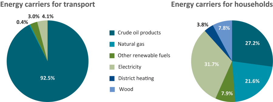 Enlarged view: Share of energy carriers 
