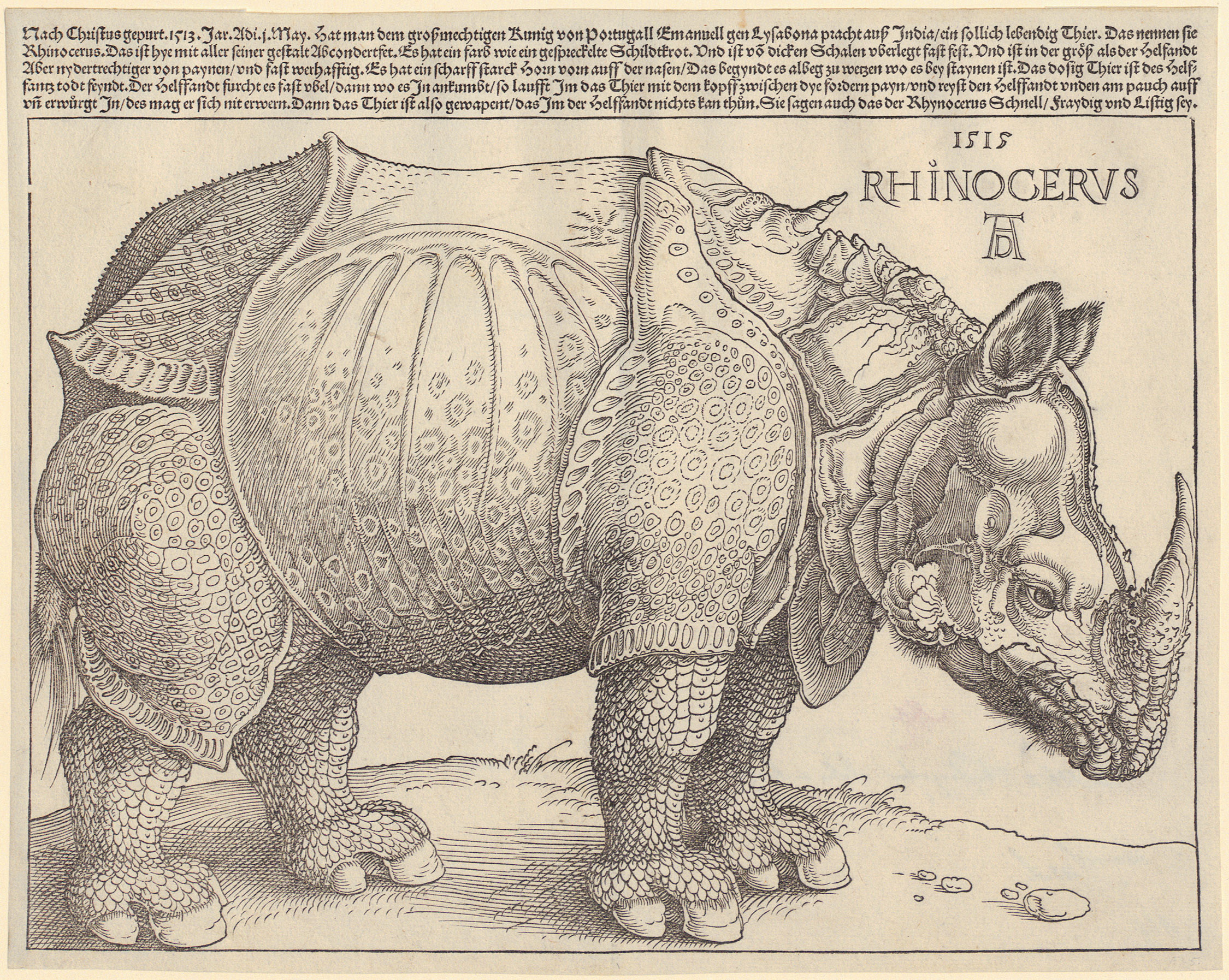 This image shows a digital version of Albrecht Dürer's Rhinocerus from 1515.