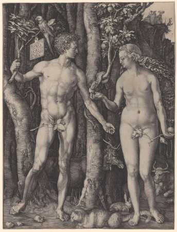 This image shows a digital version of Albrecht Dürer's Adam and Eve from 1504.