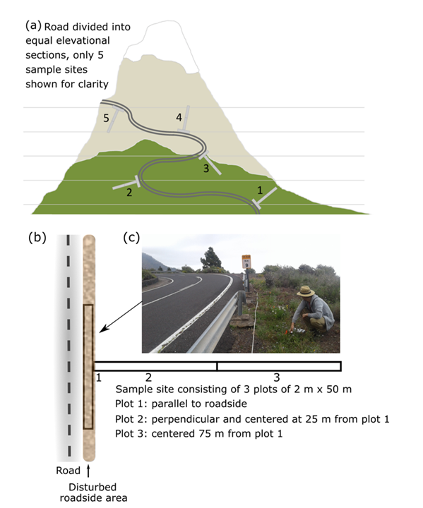 At the top there is a mountain showing the illustration of step (a). At the bottom left it shows a sketch of the required situation for step (b) and at the bottom right there is a picture showing the researcher taking samples (c).
