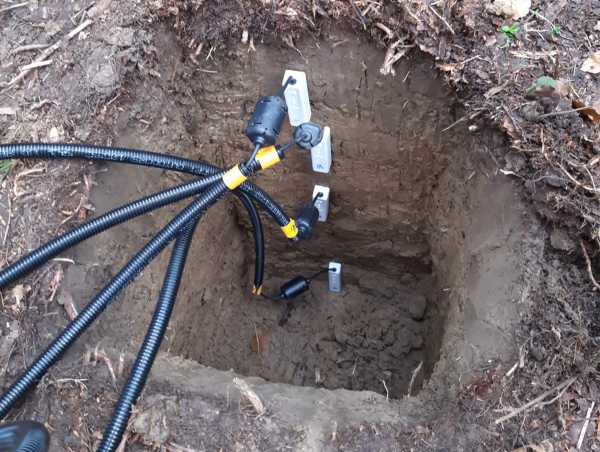Black tubes in a hole in the forest soil.