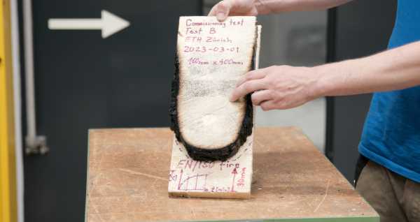 Model of the burnt wood