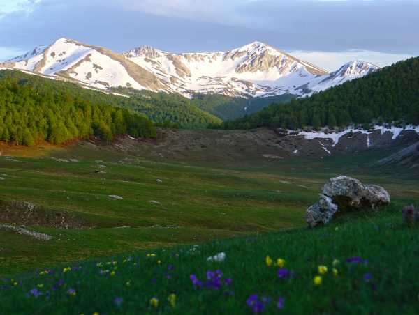 In the background snow-capped mountains, in the foreground green meadows and forests.