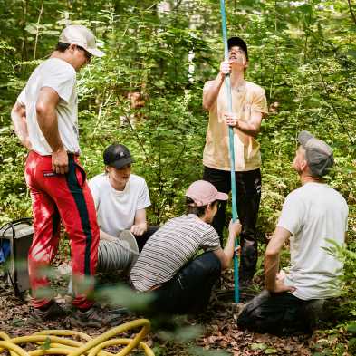 Five students at work in the forest