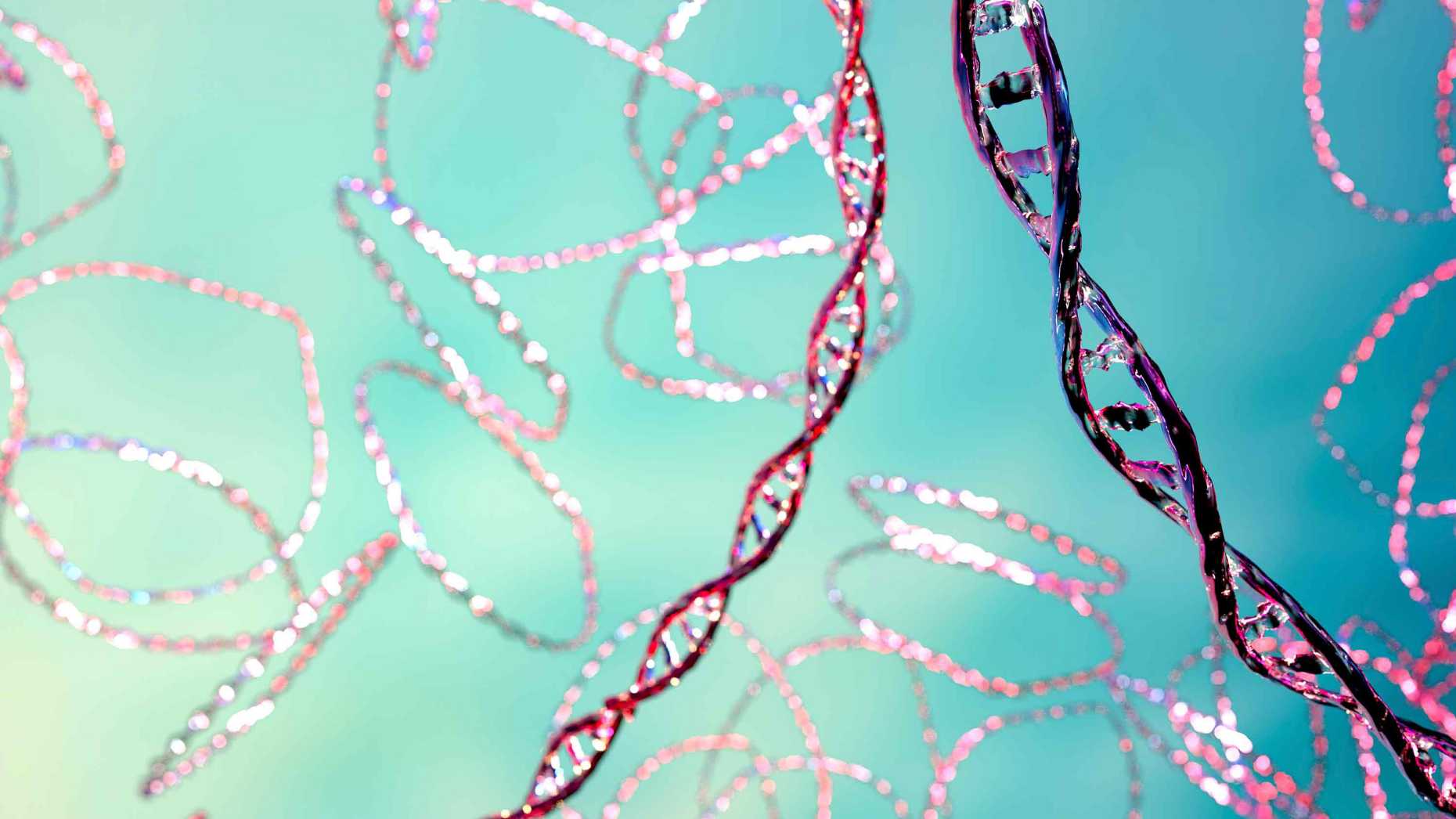 Illustration of DNA strands.
