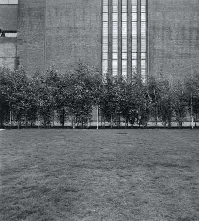 Black and white photograph of the birch garden at Tate Modern