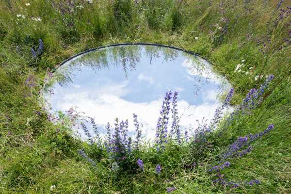Meadow with round glass reflecting the sky