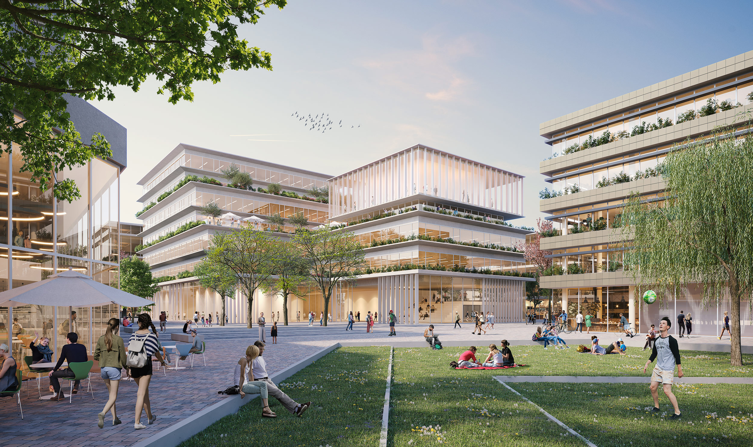 Visualization of the new campus in Heilbronn