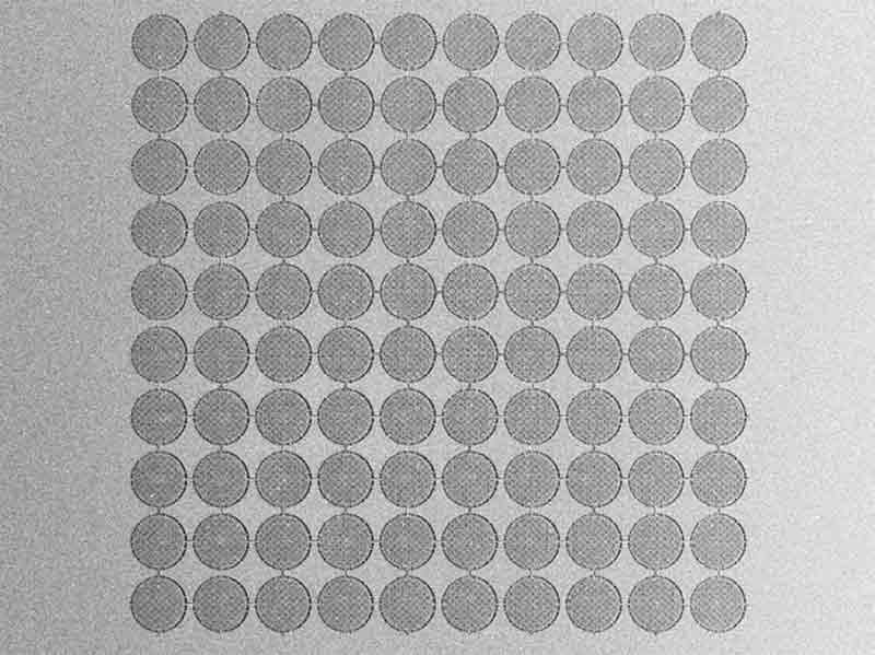 Enlarged view: Array of 100 sound-sensitive round structures
