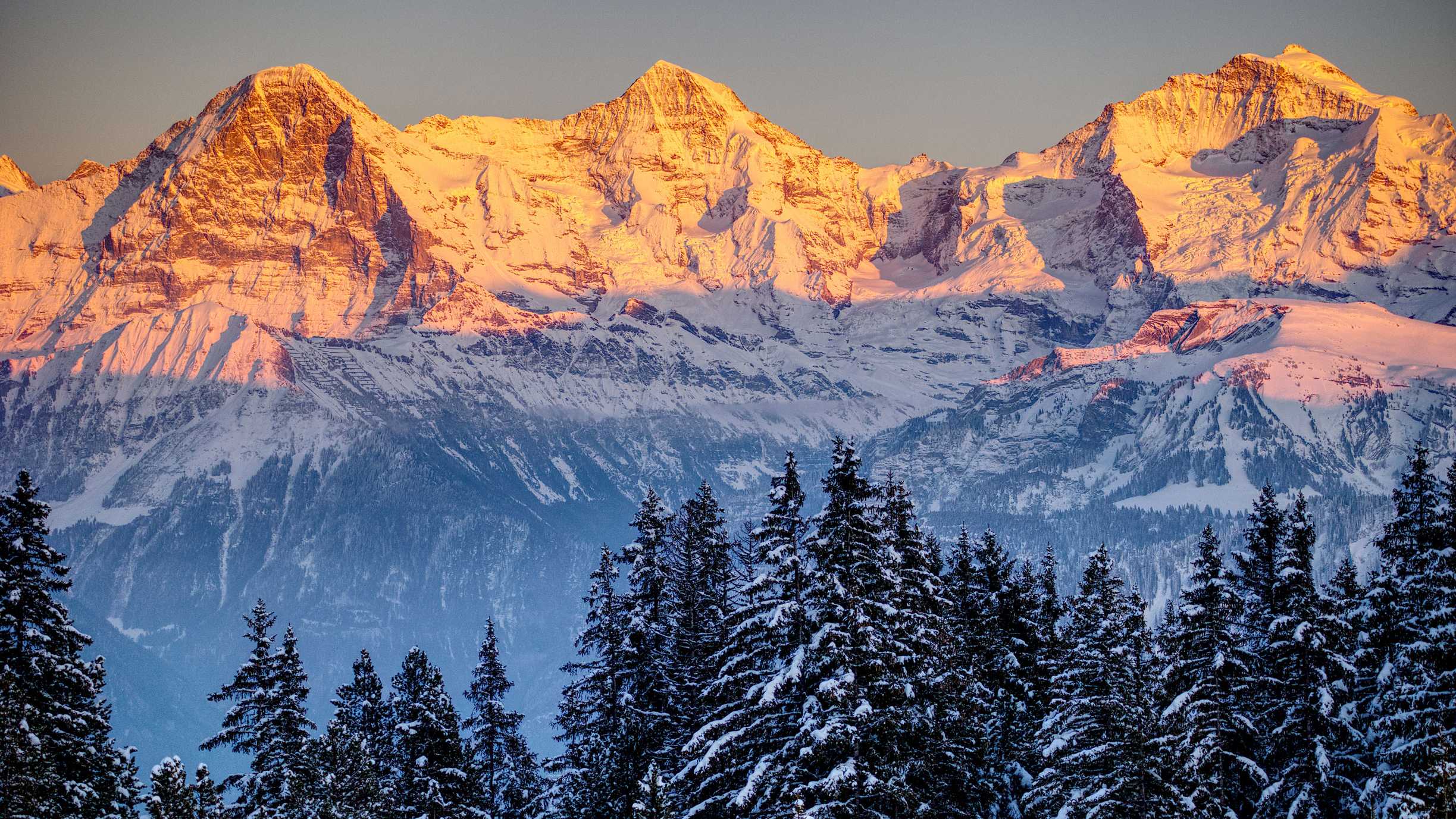 The Swiss mountains Eiger, Mönch and Jungfrau in the reddish glow of the sun