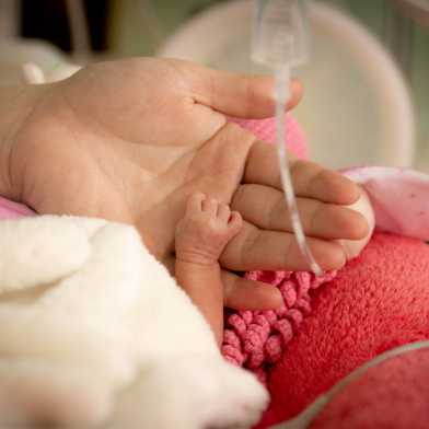 A baby's hand lying in an adults hand in a hospital incubator