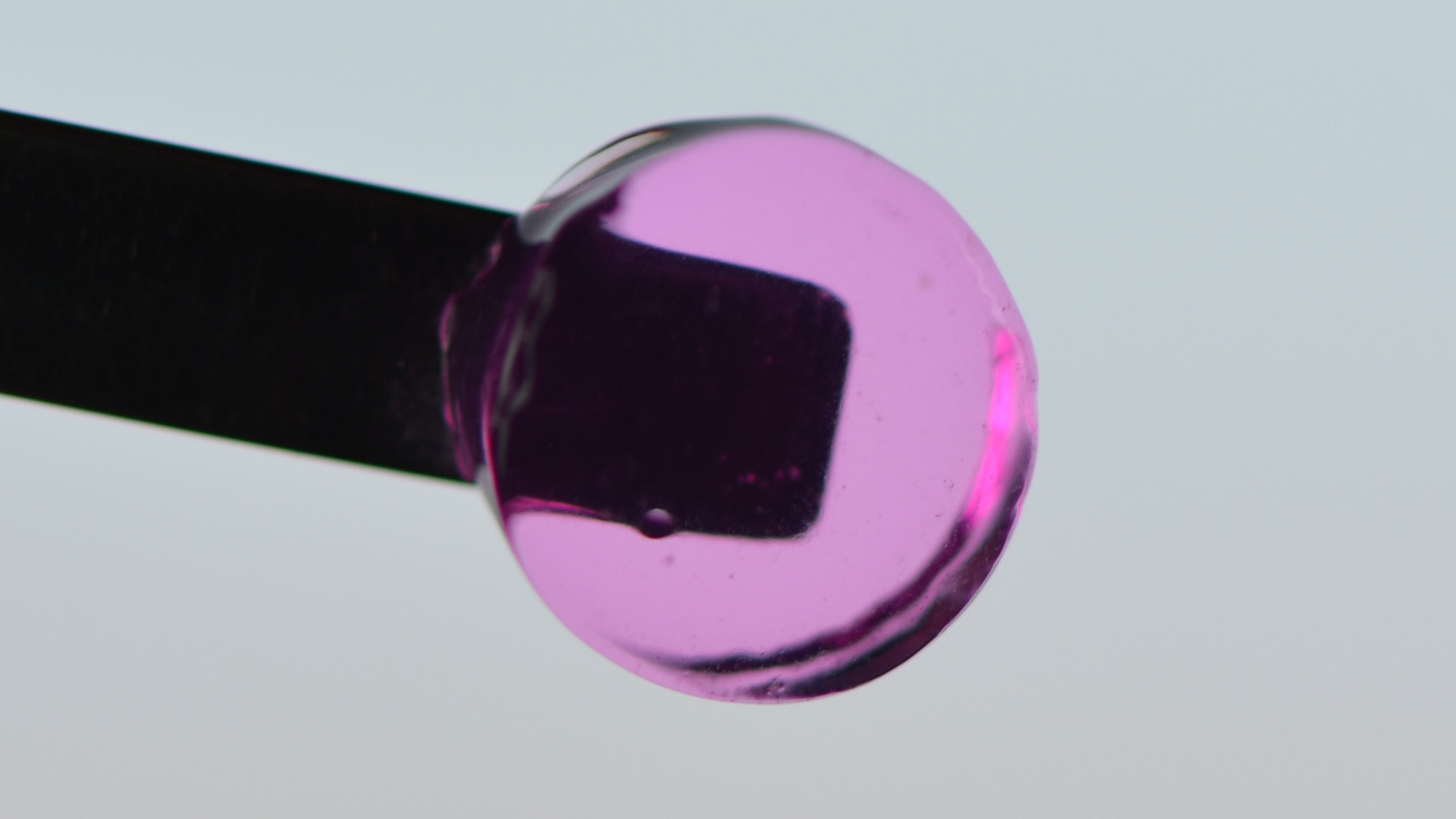 Close-up of the hydrogel