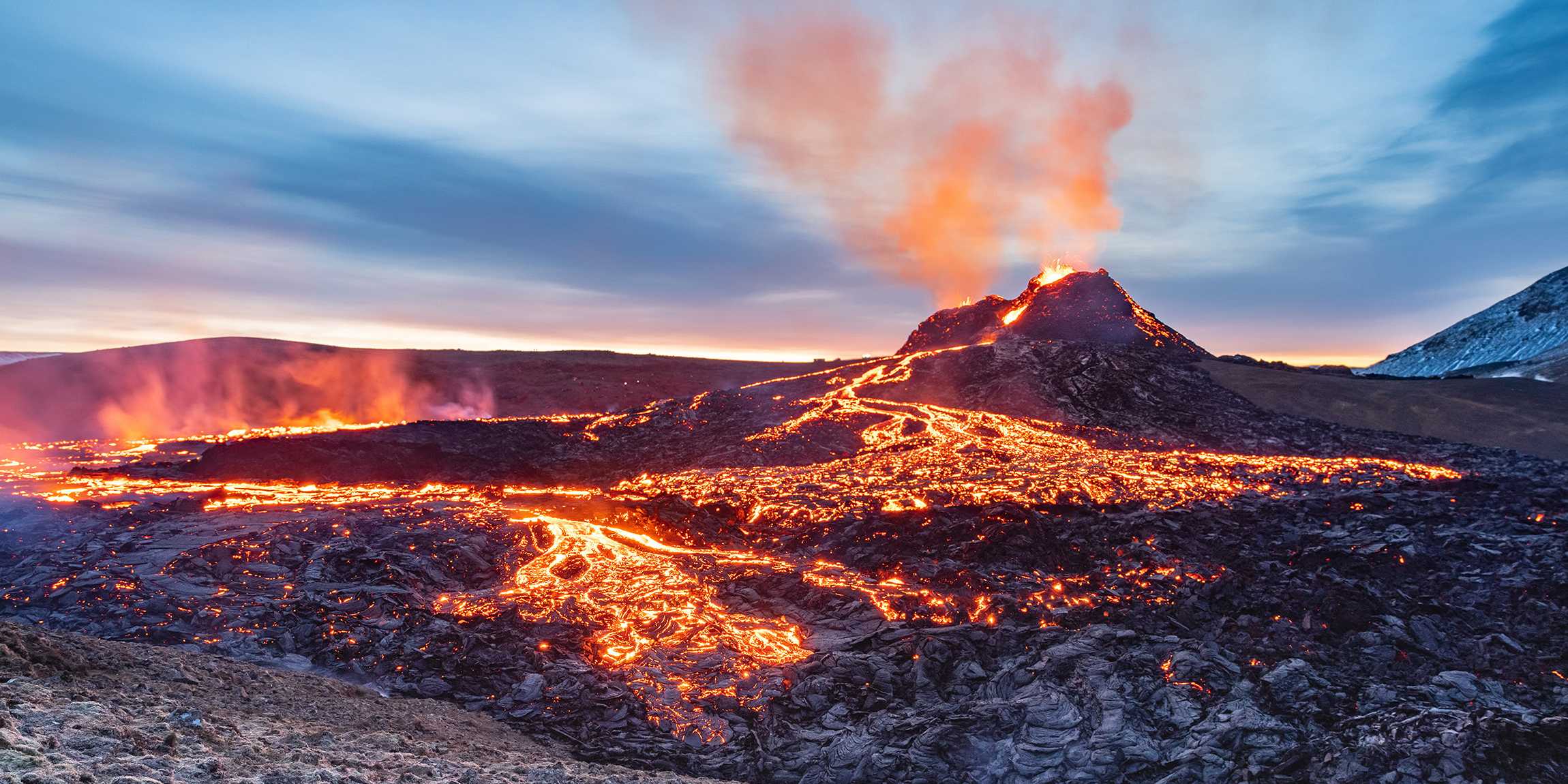 Millions of years for plants to recover from global warming ETH Zurich