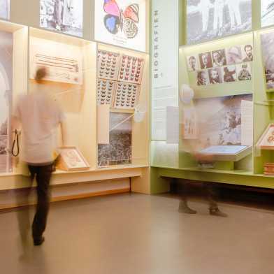 View of the exhibition with objects spread over two walls