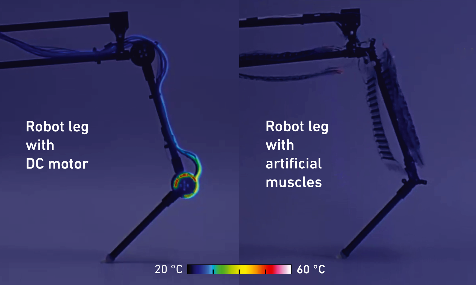 Infrared image of the two robot legs. The robot leg with the DC motor generates heat and the joint is colored red, yellow and green.