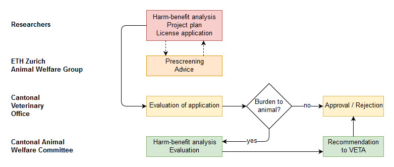 Workflow for animal experimentation