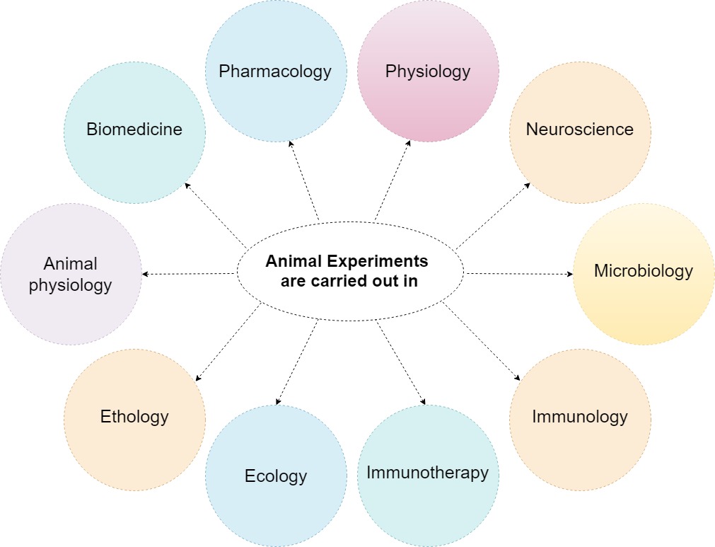 Animal experiments help