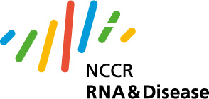 Enlarged view: NCCR RNA & Krankheit