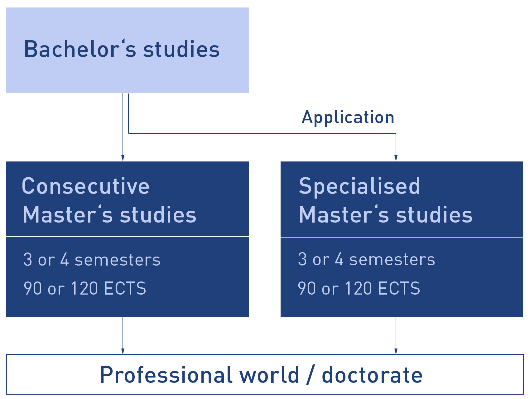 Structure of Master's degree studies