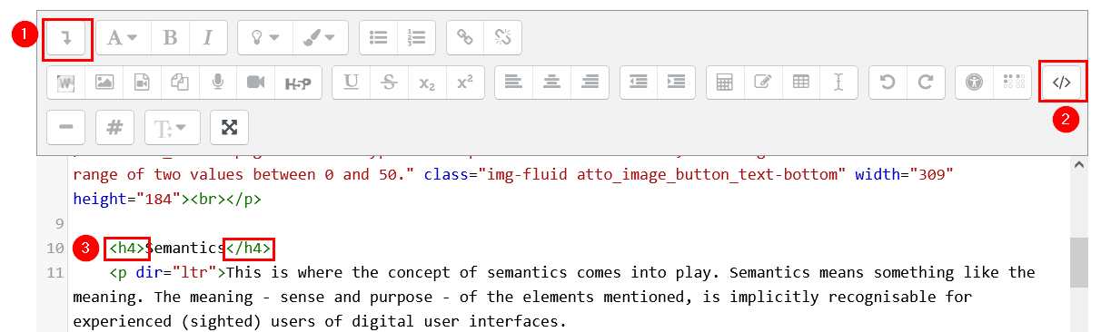 Screenshot of the HTML view in the Moodle editor. Description on how to get there prior to the figure.