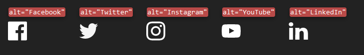 Screenshot of social media icons with link targets (Facebook, Twitter, Instagram, ...) in alt-texts made visible