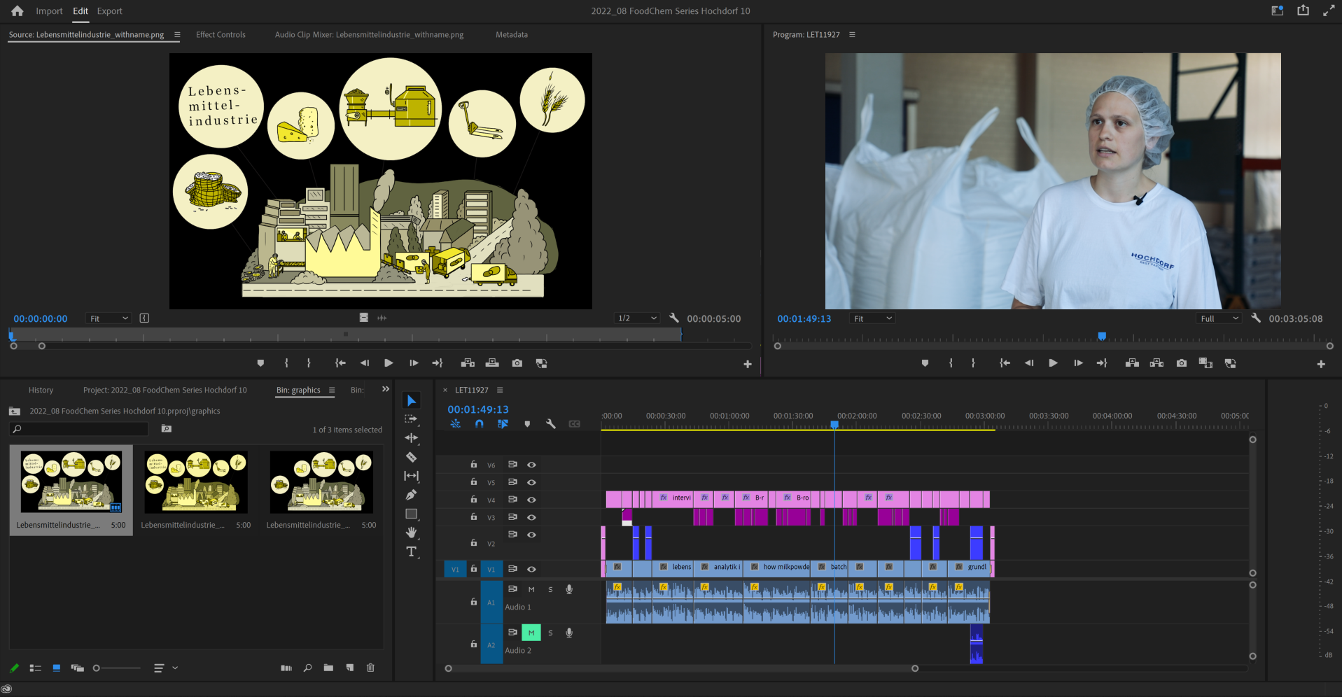 Montage process of an expert interview of the series