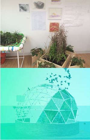 Enlarged view: Photosynthesis Projects