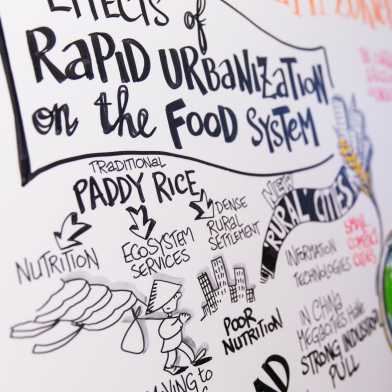 Food Security Poster 