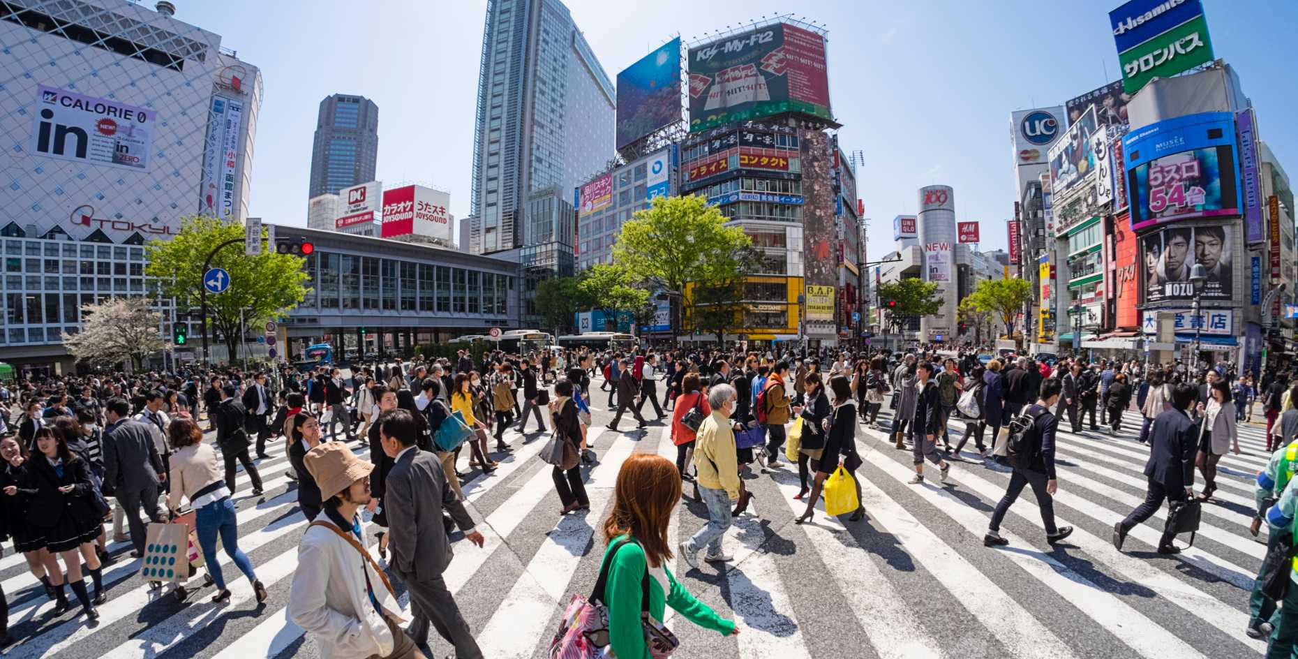 Internships Japan _ Shibuya Crossing