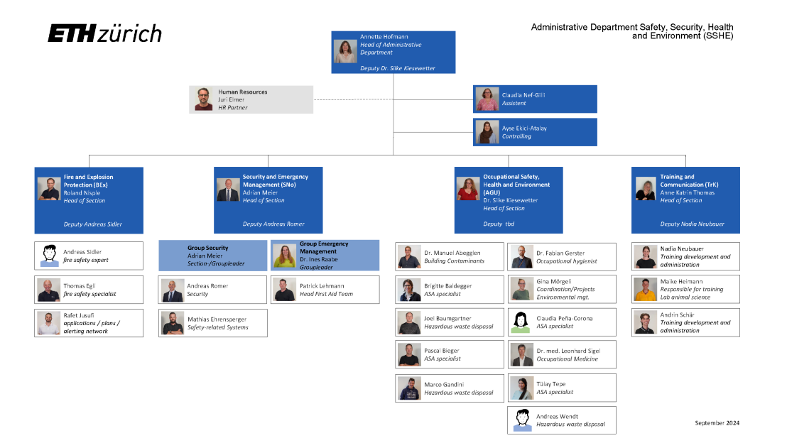 Organisation chart