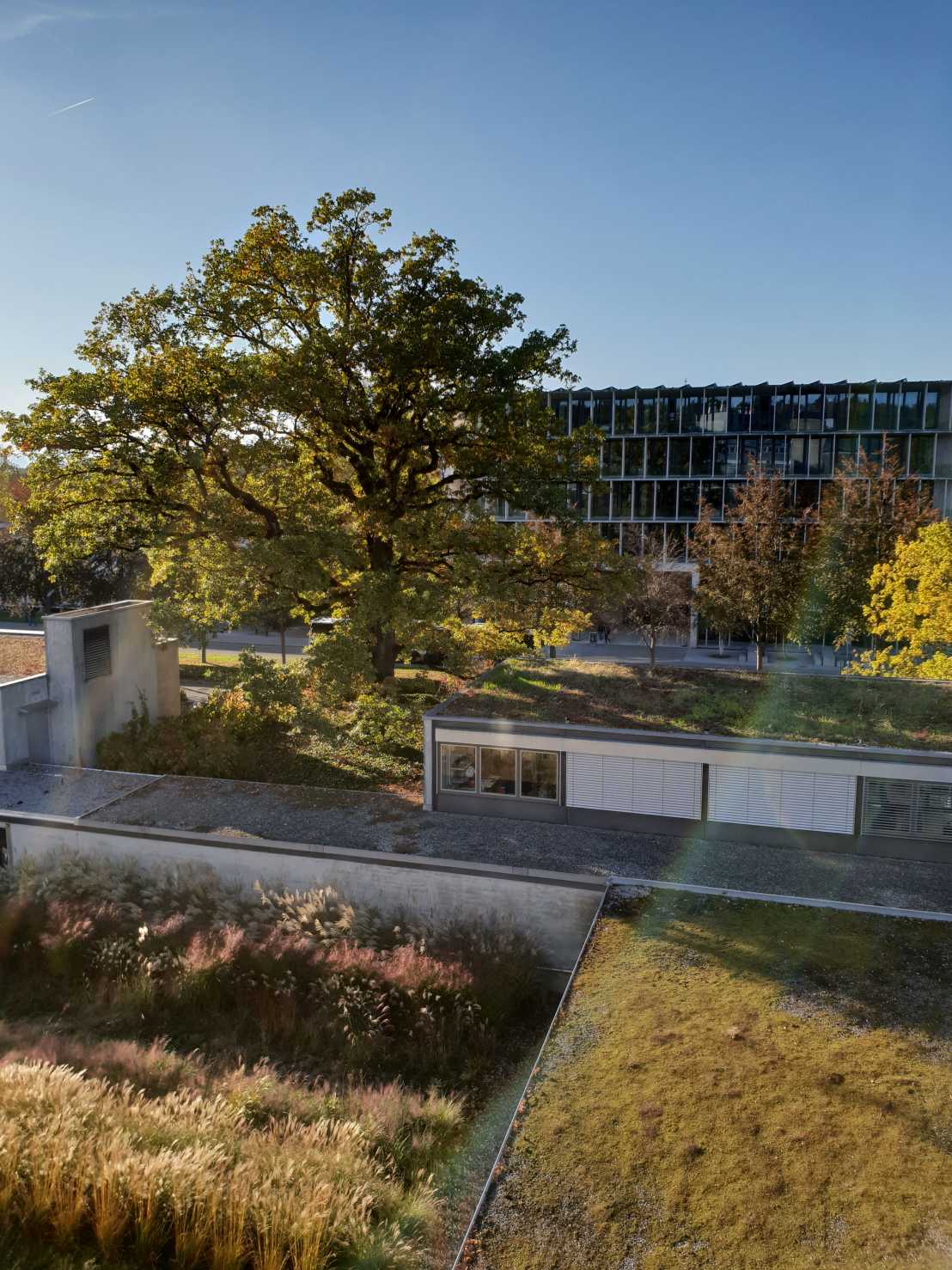 Vergrösserte Ansicht: Platz 2: «Der wunderbare Ausblick aus meinem neuen Labor ins Grüne.» (Bild und Text: Philip Verwegen / ETH Zürich)
