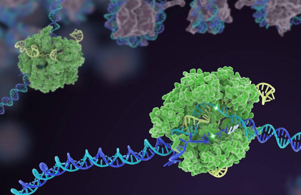 Grafik mit CRISPR-Cas9 Genschere