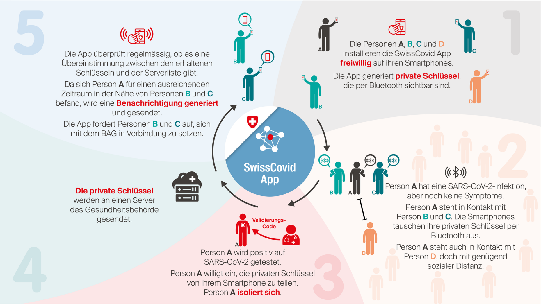 Vergrösserte Ansicht: Infografik SwissCovid App