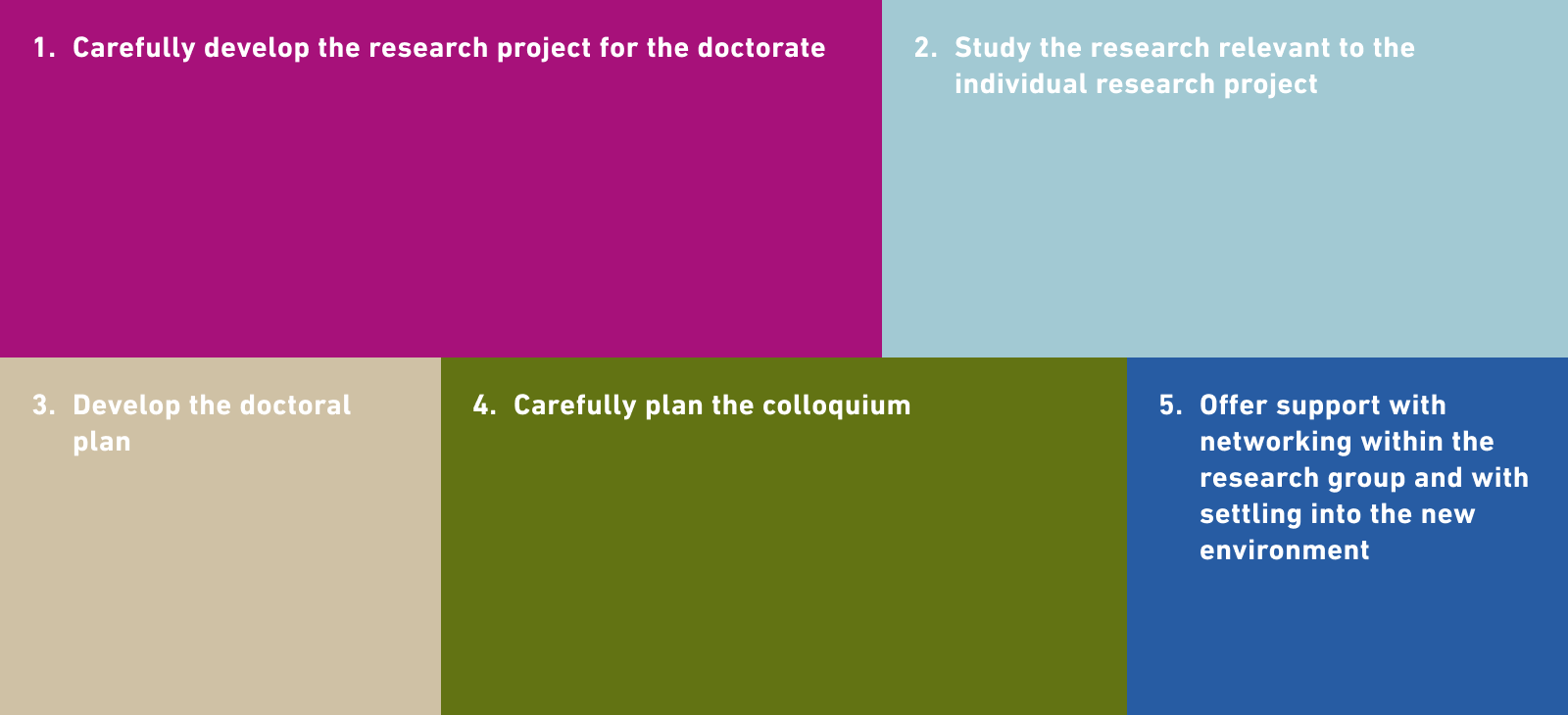 1. Carefully develop the research project for the doctorate 2. Study the research relevant to the individual research project 3. Develop the doctoral plan 4. Carefully plan the colloquium 5. Offer support with networking within the research group and with settling into the new environment