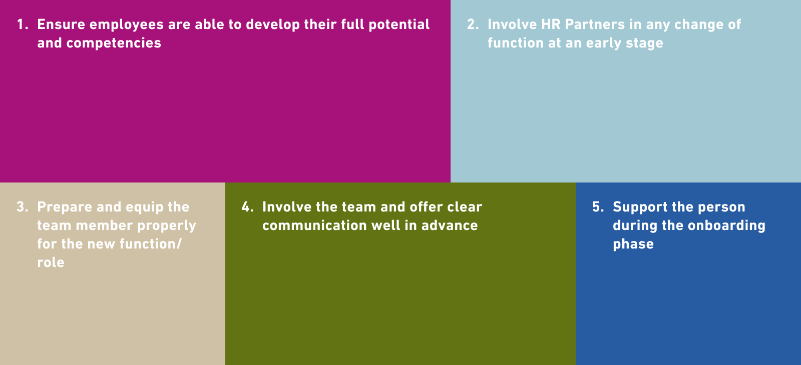 1. Ensure employees are able to develop their full potential and competencies 2. Involve HR Partners in any change of function at an early stage 3. Prepare and equip the team member properly for the new function/role 4. Involve the team and offer clear communication well in advance 5. Support the person during the onboarding phase