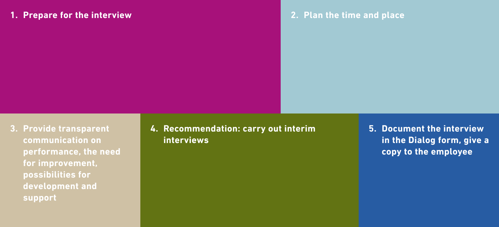 1. Prepare for the interview 2. Schedule the time and venue 3. Provide transparent communication on performance, the need for improvement, possibilities for development and support 4. Recommendation: carry out interim interviews 5. Document the interview in the Dialog form, give a copy to the employee