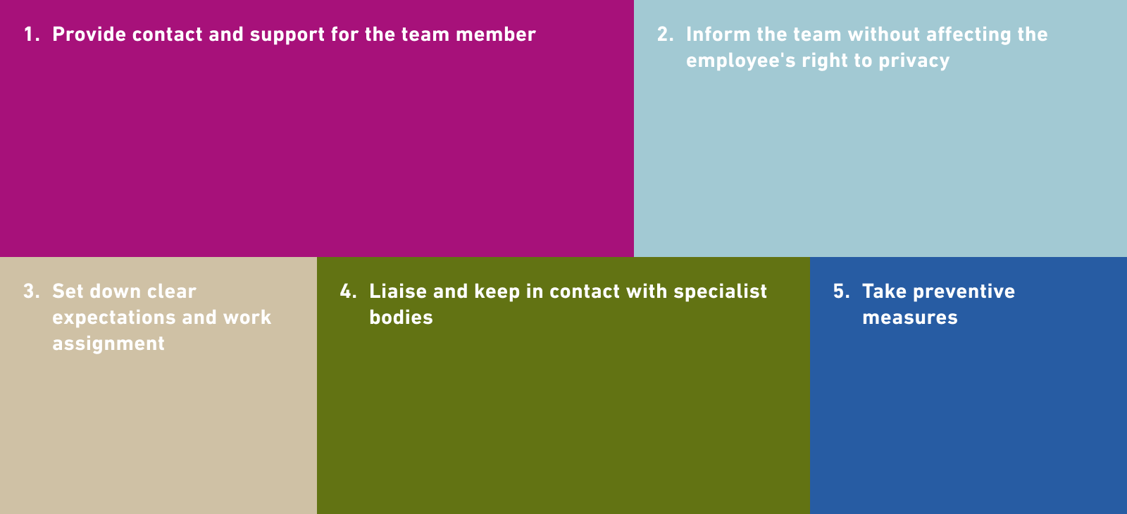 1. Provide contact and support for the team member 2. Inform the team without affecting the employee's right to privacy 3. Set down clear expectations and work assignment 4. Liaise and keep in contact with specialist entities 5. Take preventive measures