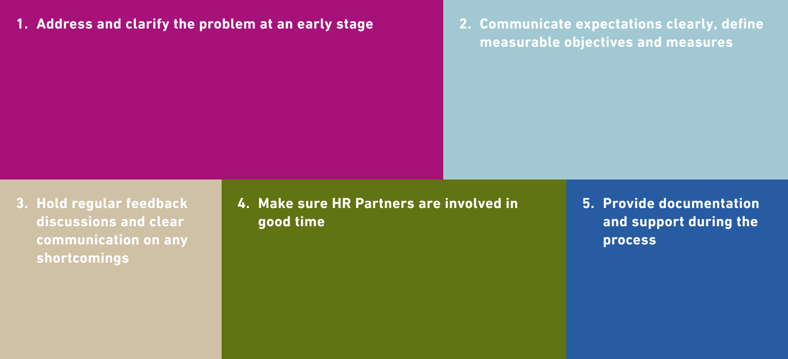 1. Address and clarify the problem at an early stage  2. Communicate expectations clearly, define measurable objectives and measures  3. Provide regular feedback discussions and clear communication on any shortcomings 4. Make sure HR Partners are involved at an early stage 5. Provide documentation and support during the process
