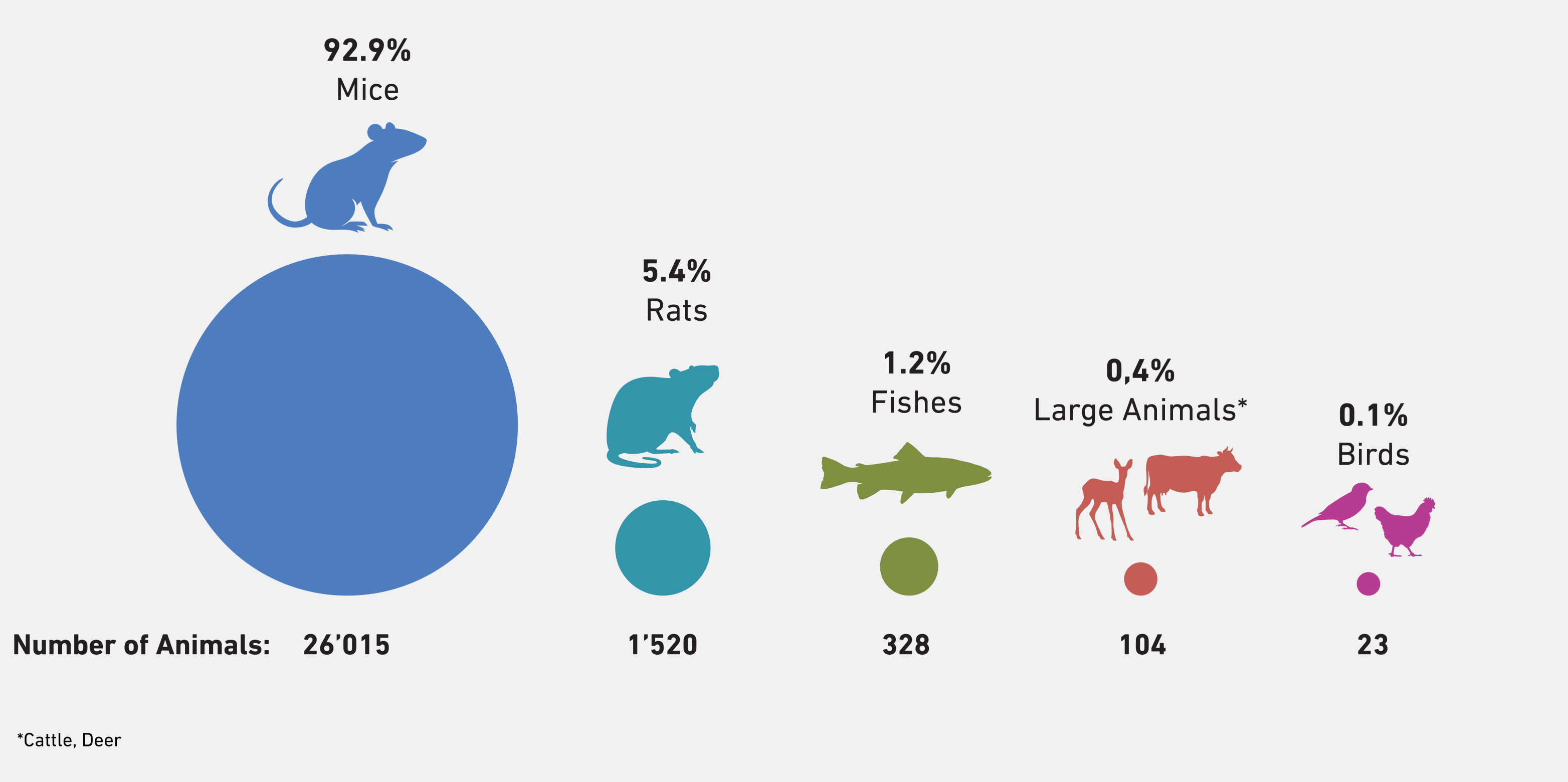 Graphic showing the animal species and the number of these animals.