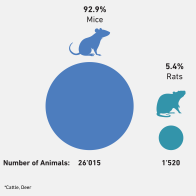 Graphic showing the animal species and the number of these animals.