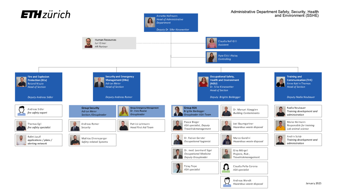 Organisation chart