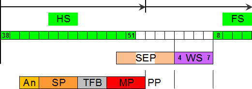 Examination scheduling